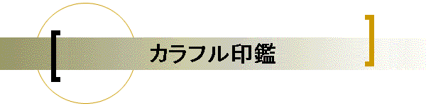 �J���t�����