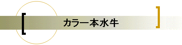 カラー本水牛