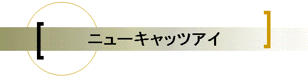 �j���[�L���b�c�A�C